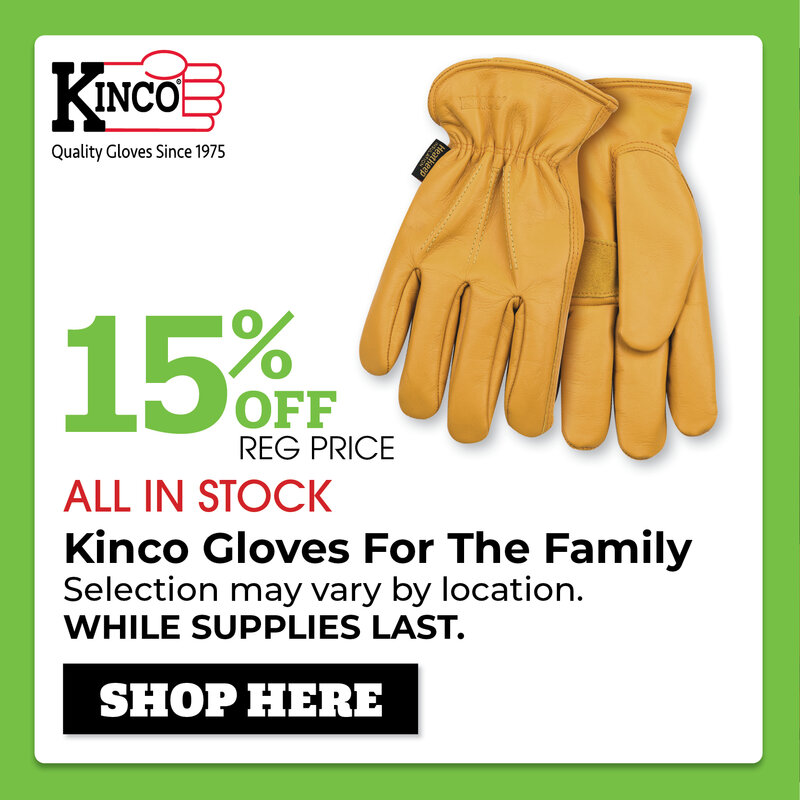 Kinco Gloves For The Family